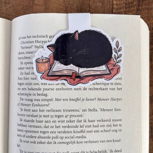 Boekenlegger magneet | Slapende kat op boek